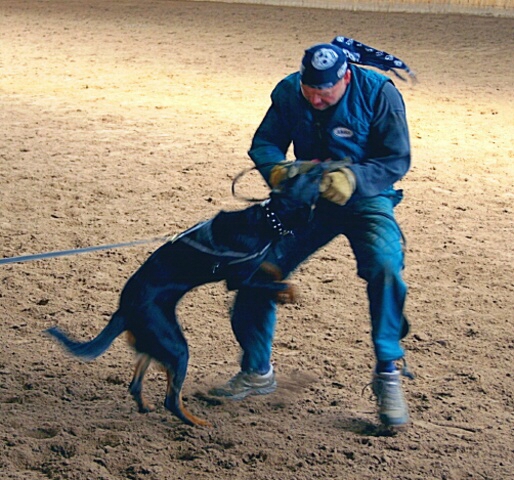 Training in Finland 6.4. - 9.4. 2007